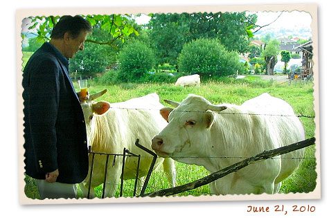 Wedding in the French countryside